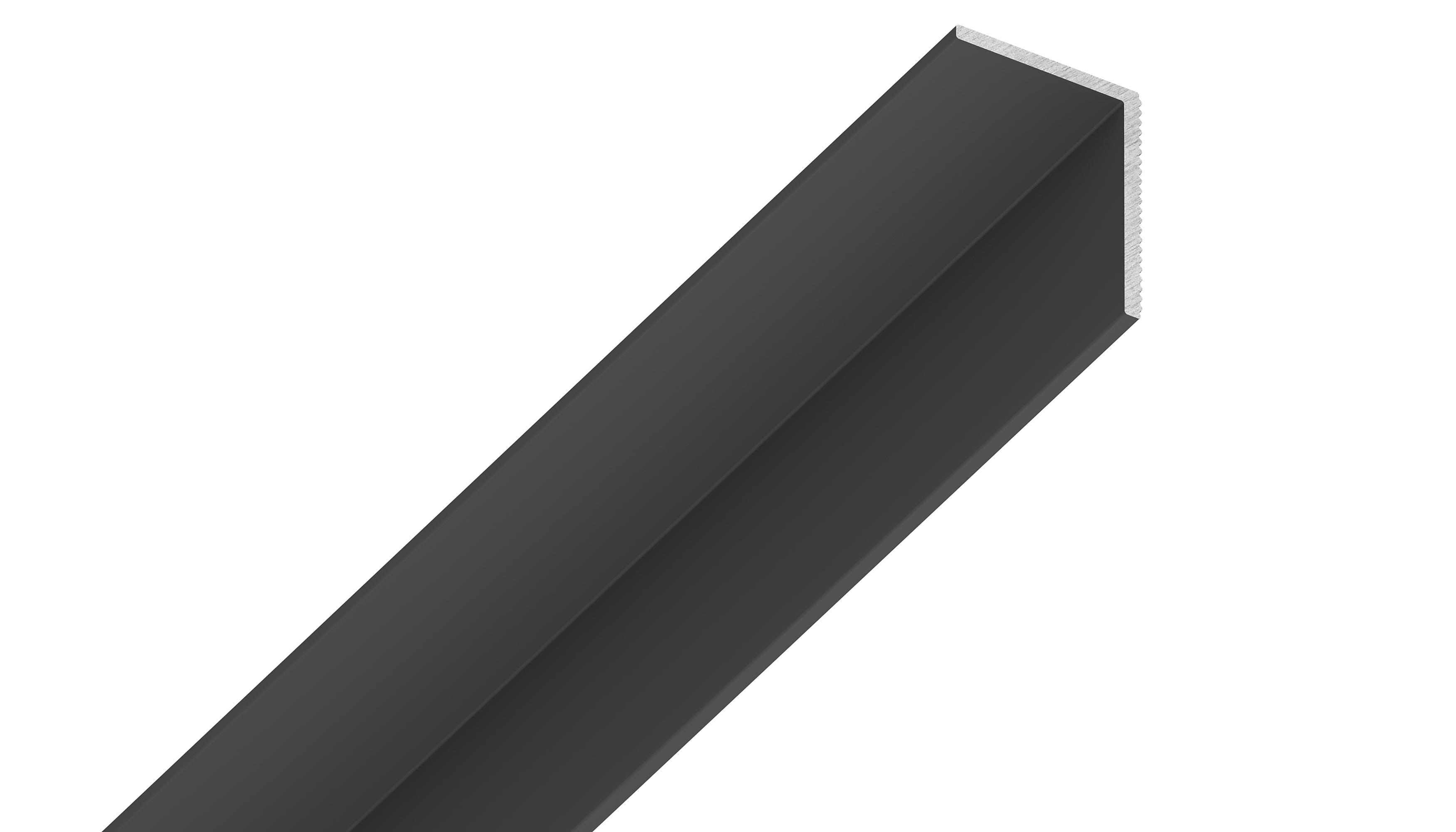 Теневой плинтус универсальный TEN 2м черный 99.2.2