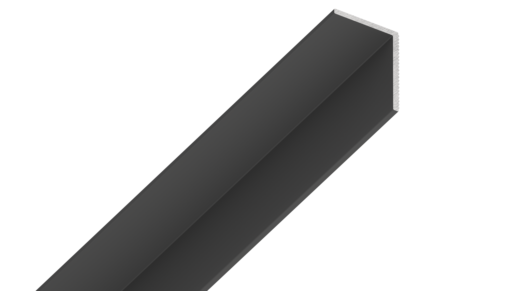 Теневой плинтус универсальный TEN 2м черный 99.2.2